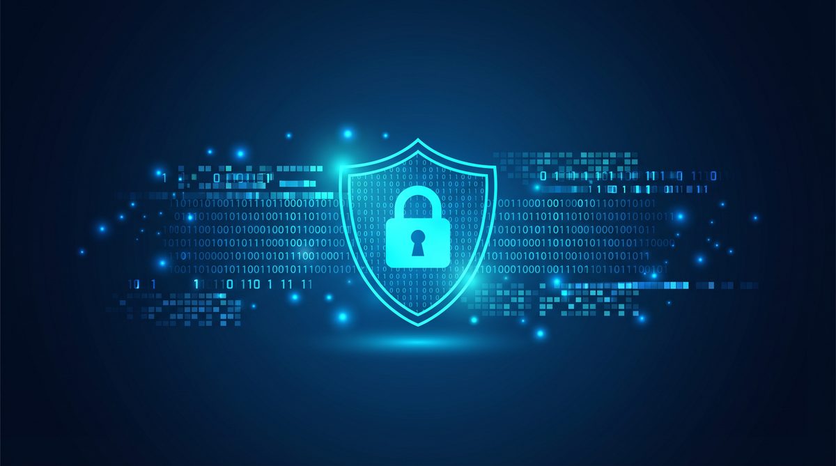 加速器蜜蜂隐私安全保护